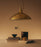 Gubi 1965 pendant light with a sleek, modern design hanging in a stylish interior setting.