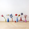 Campanula by Studio Roof
