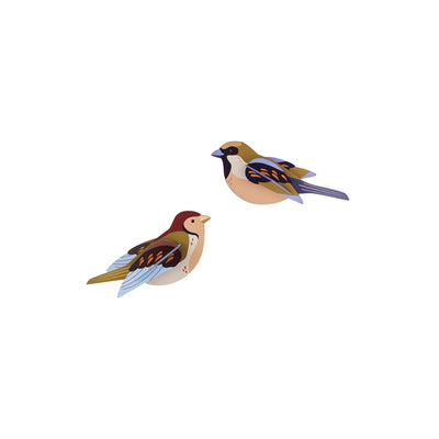 Sparrows by Studio Roof