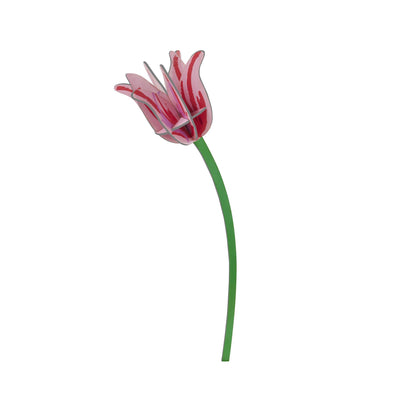 Pink Tulip by Studio Roof