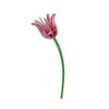 Pink Tulip by Studio Roof