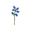 Campanula by Studio Roof
