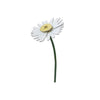 Daisy by Studio Roof