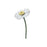 Daisy by Studio Roof