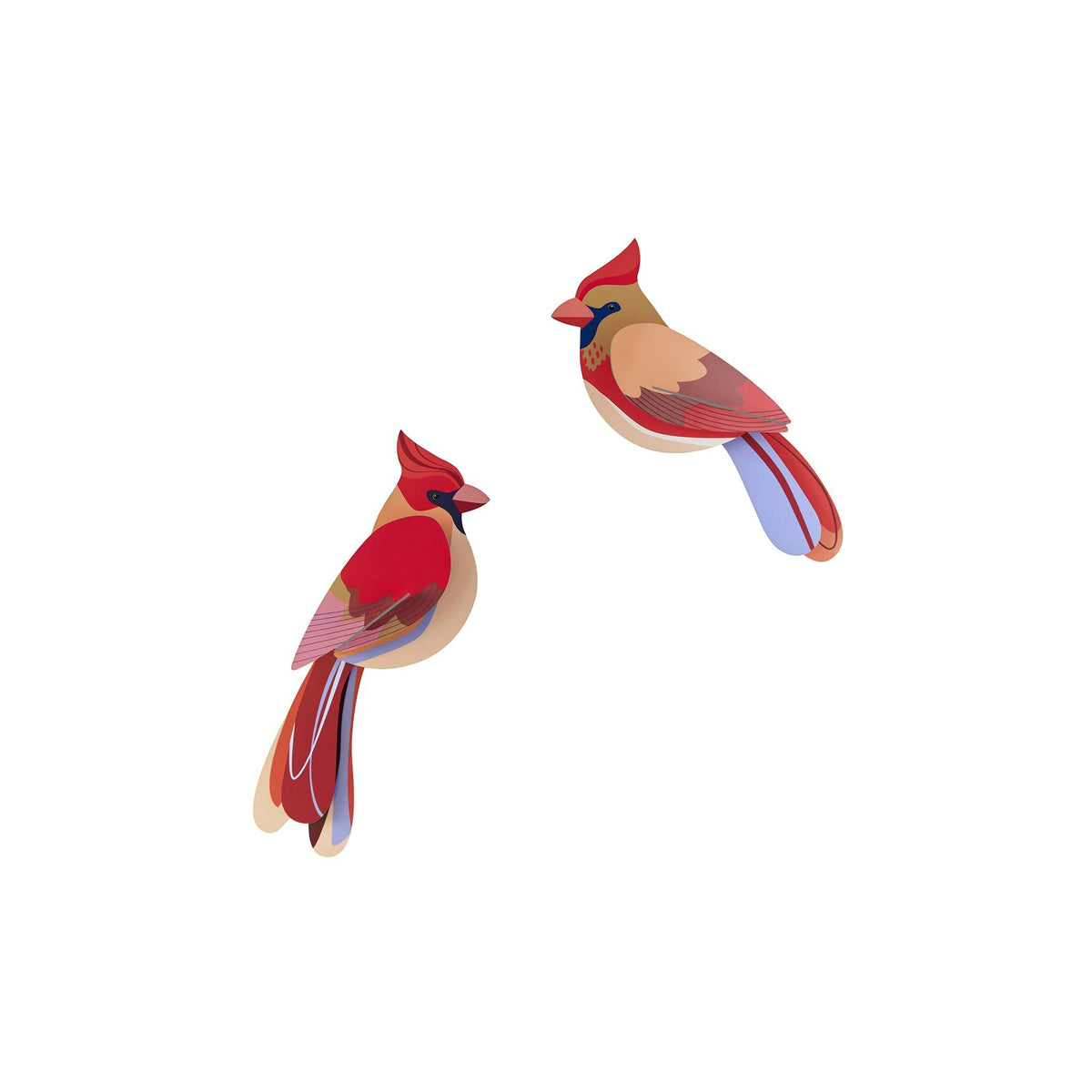 Cardinal by Studio Roof