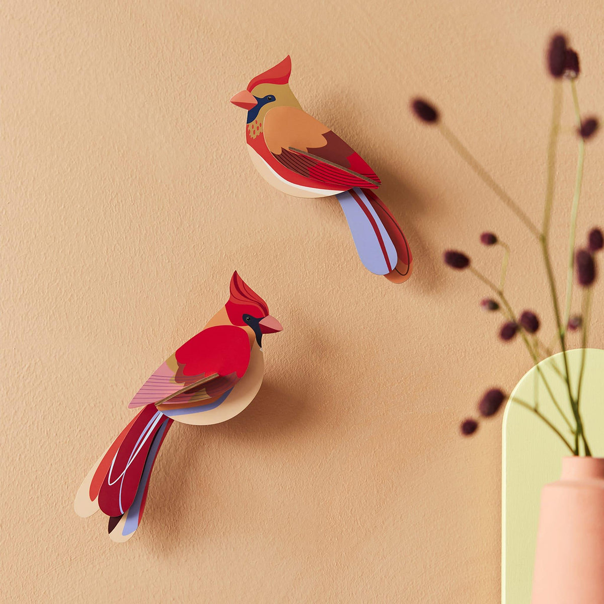 Cardinal by Studio Roof