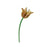Yellow Tulip by Studio Roof