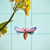 Honey Bee by Studio Roof