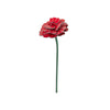 Rose by Studio Roof