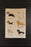 Dogs Wall Hanger by Lorena Canals