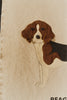 Dogs Wall Hanger by Lorena Canals