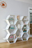 Honeycomb Modular Shelving by Heller