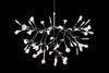 CLEARANCE Heracleum III Suspended by Moooi
