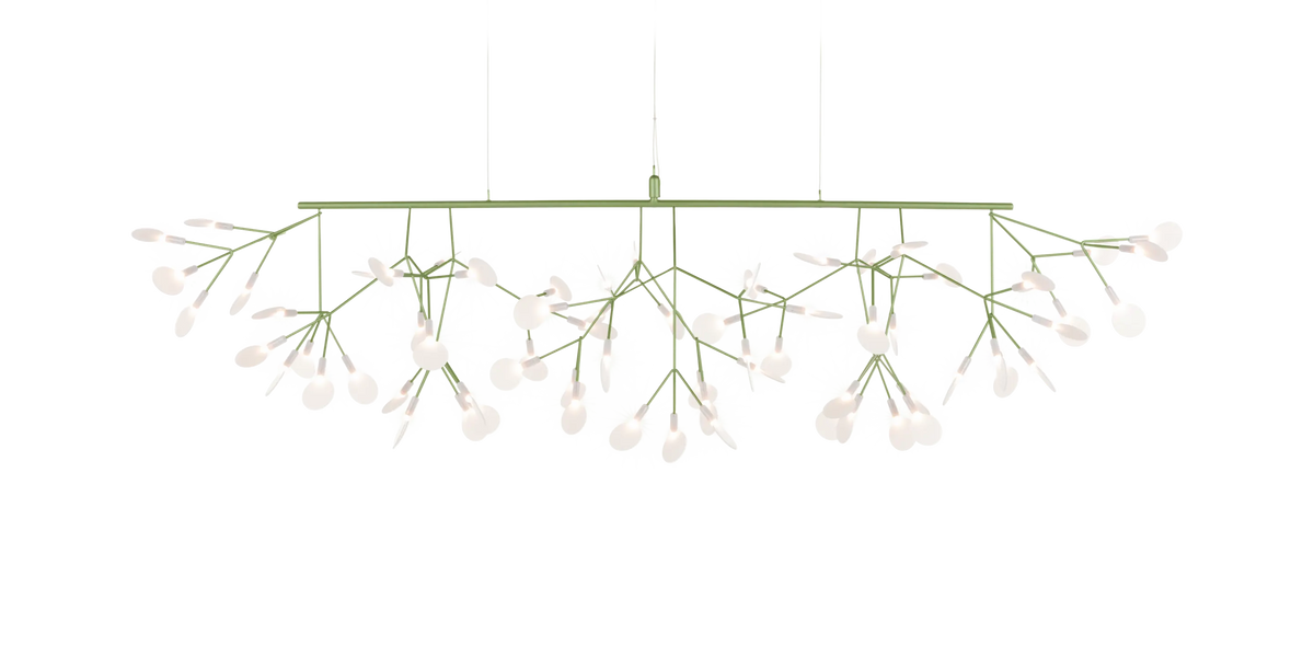 Heracleum III Linear par Moooi