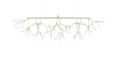 Heracleum III Linear par Moooi