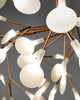 Suspension Heracleum Endless par Moooi
