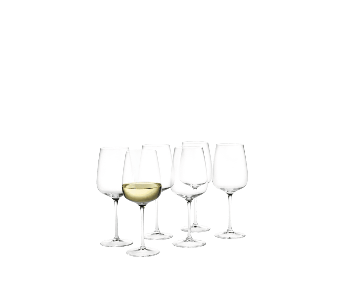 Bouquet Wine Wine Glass 41 cl 6 pcs by Holmegaard