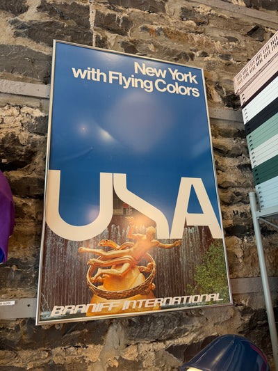 USA Flying Colours 1972 Braniff International Airways Poster by Alexander Girard