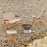 Outdoor Market Folding Sofa by Hay