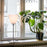 KTribe Table by Flos lighting fixture with a sleek, modern design, featuring a white lampshade and wooden base.