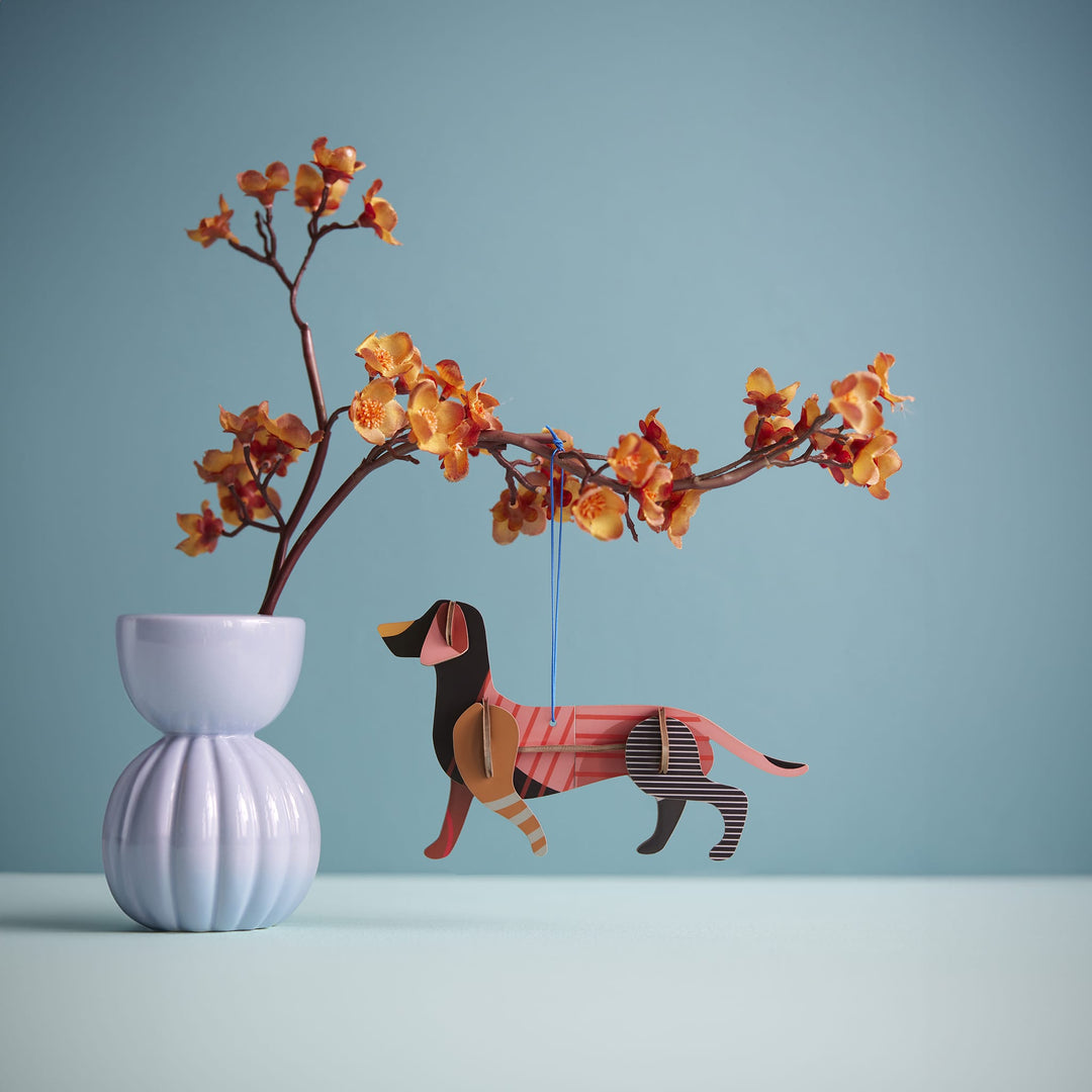 Dachshund by Studio Roof