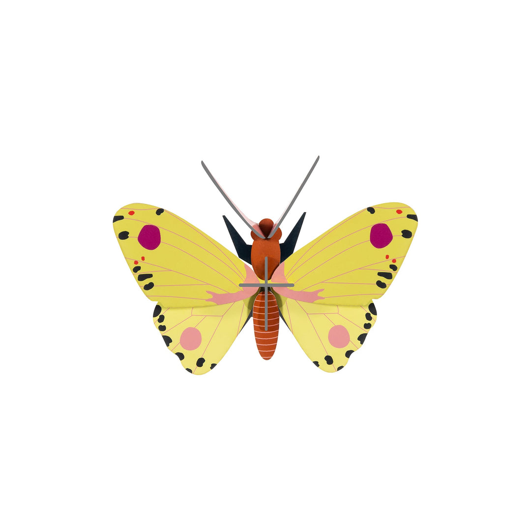 Luzerne Butterfly by Studio Roof