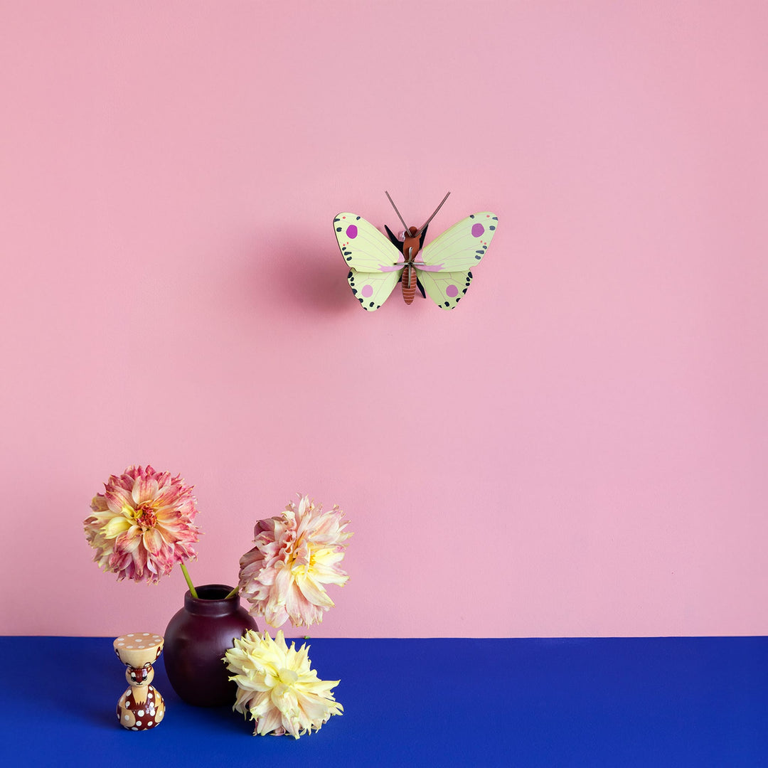 Luzerne Butterfly by Studio Roof