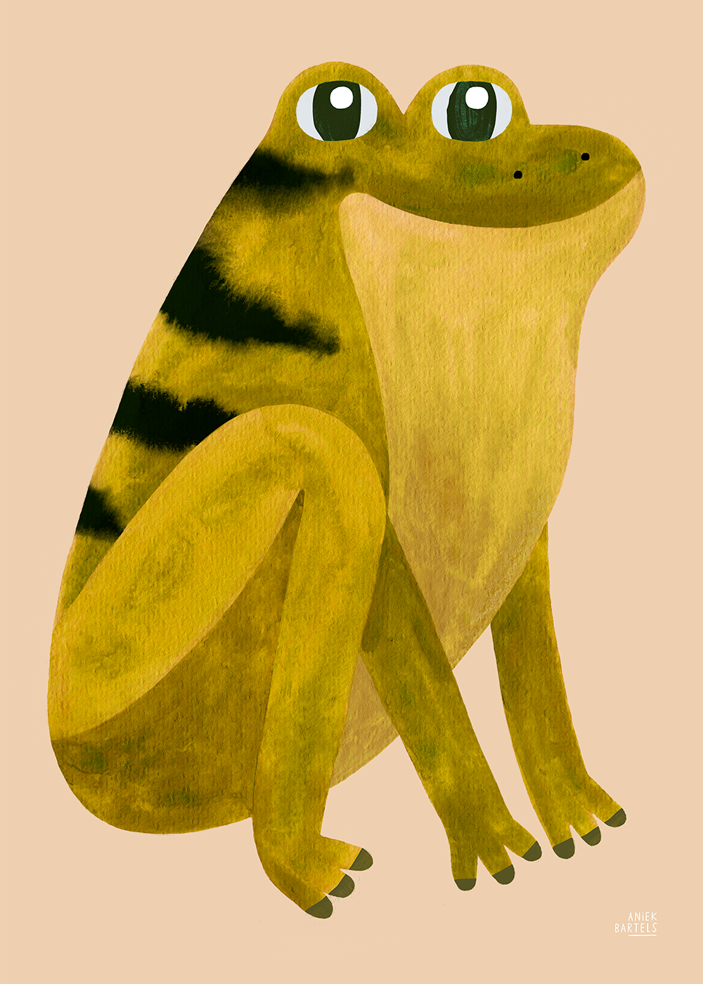 Grinning Frog by Paper Collective