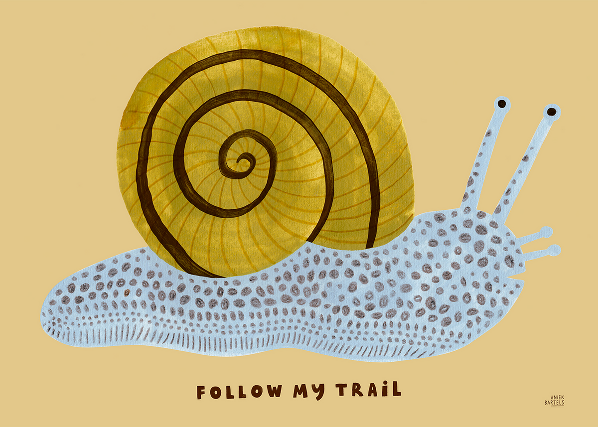 Follow My Trail by Paper Collective