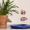 Marine Angelfish by Studio Roof