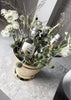Champagne & Wine Cooler by Skultuna