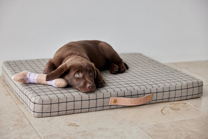 Milo Grid Dog Cushion by OYOY ZOO