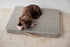 Milo Grid Dog Cushion by OYOY ZOO