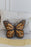 Butterfly Cushion by Lorena Canals