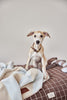 Kaya Dog Blankets by OYOY ZOO