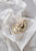 Skultuna oyster bottle opener accessory with sleek metal design and ergonomic handle for easy opening of oyster shells.