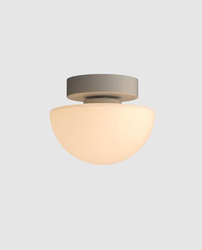 Pensee Wall/Ceiling Light by Seed Design