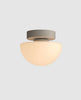 Pensee Wall/Ceiling Light by Seed Design