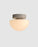Pensee Wall/Ceiling Light by Seed Design