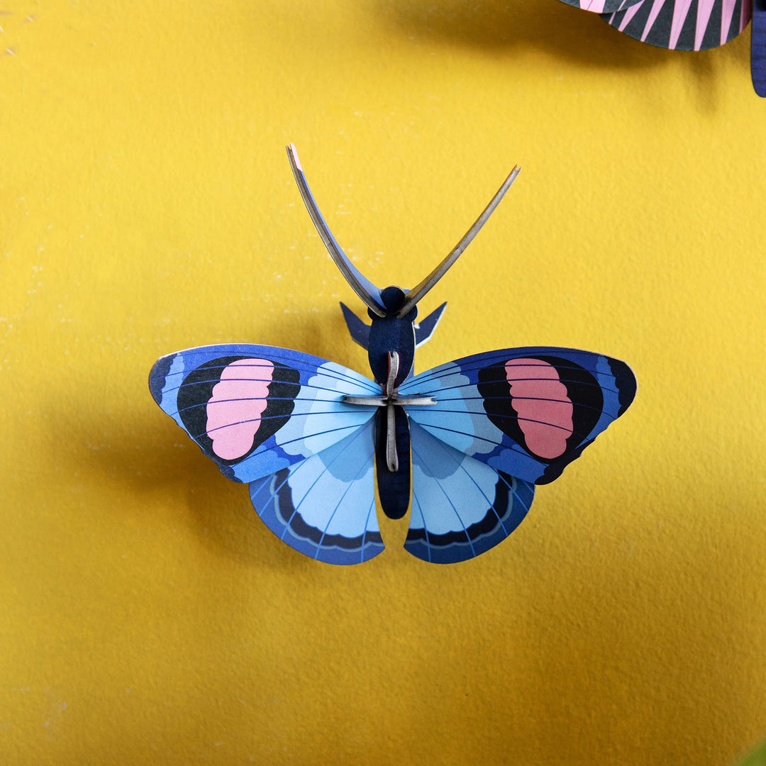 Peacock Butterfly by Studio Roof