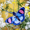 Peacock Butterfly by Studio Roof