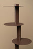 Established and Sons Plates shelving unit with raw-edge storage plates displayed on modern wall-mounted storage system.