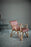 Pastoe armchair for Metz&Co, stylish seating with wooden legs and upholstered seat in a modern design, perfect for living rooms
