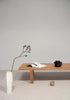 Pastoe BZ Bench seating with a wooden frame and cushioned top in a modern design, shown in a cozy living space.