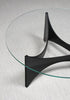 TZ75 Coffee Table by Pastoe