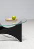 TZ75 Coffee Table by Pastoe