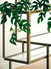 Tangled storage cabinet by Pastoe with taupe finish, featuring a unique, knot-inspired design and multiple compartments.