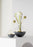 Small Pomme accessory by Skultuna featuring a sleek, rounded metal design with a polished finish.