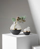Skultuna Pomme small dark grey accessory with a smooth, rounded design and elegant finish, ideal for modern decor or personal use.