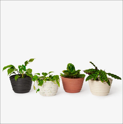 Racine Planter by Areaware x Frank Lloyd Wright